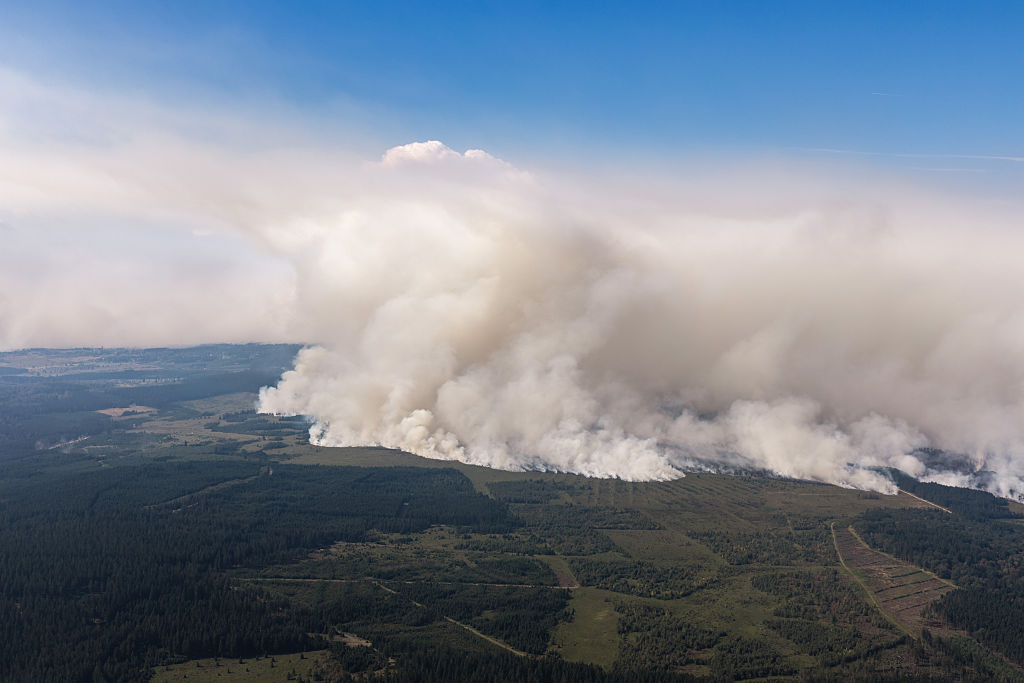 Regen bringt Erleichterung, während Belgien mit einem gewaltigen Waldbrand zu kämpfen hat