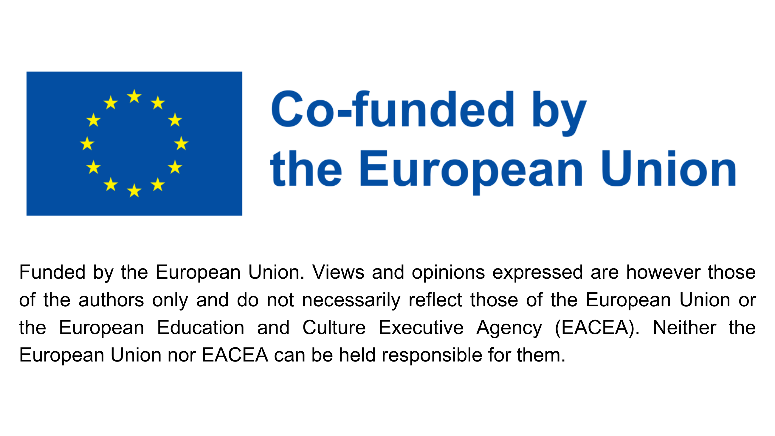 Co-funded by the European Union